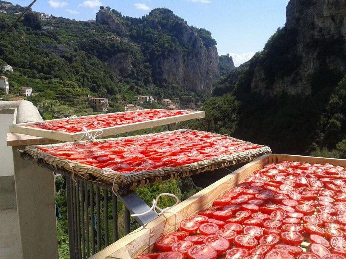 Tradizioni Campane Che Non Muoiono Mai Pomodori Essiccati Al Sole