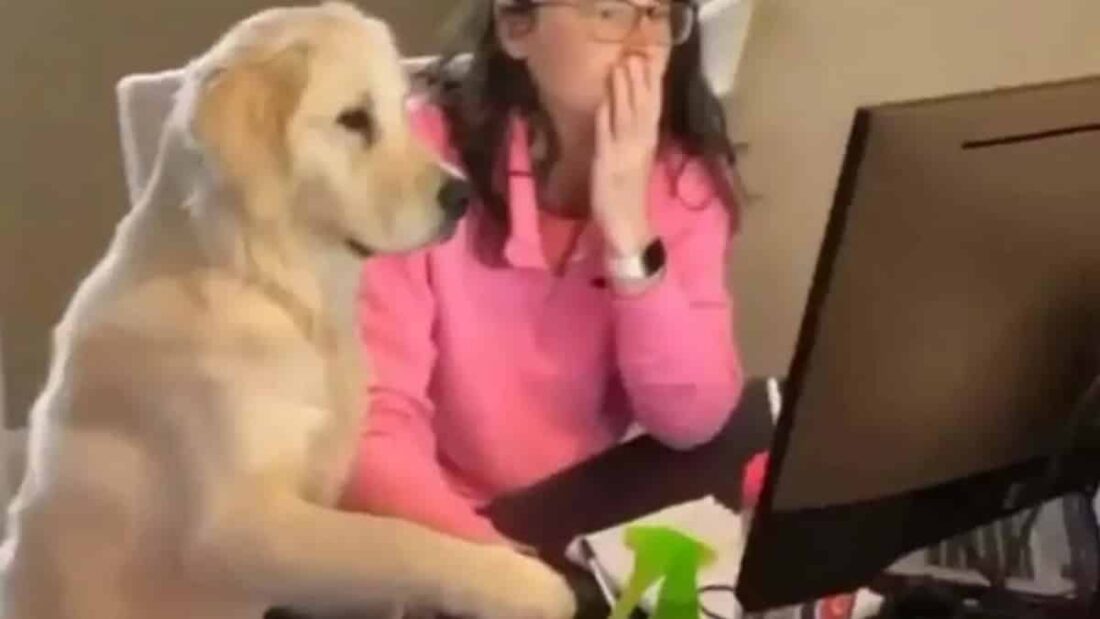 cagnolone smart working