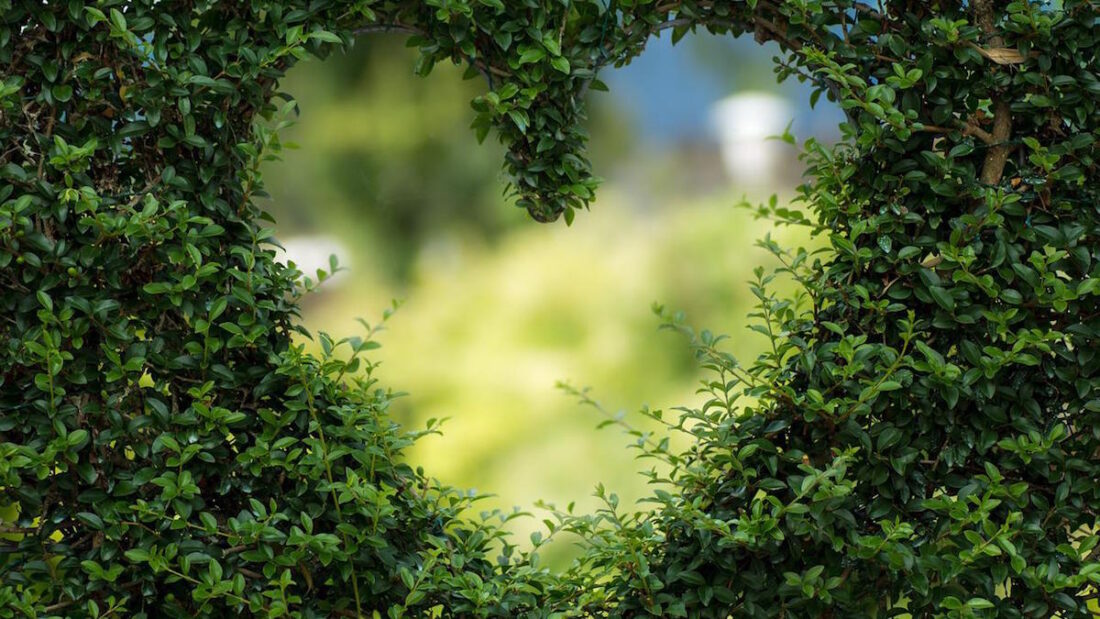 nonna primo appuntamento