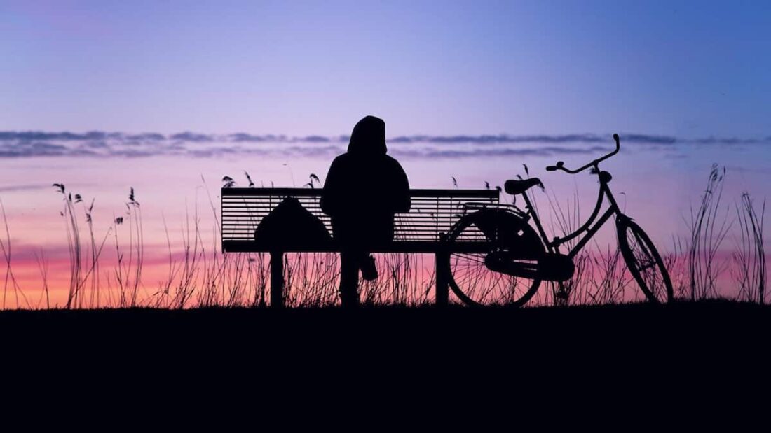 persone solitarie intelligenti