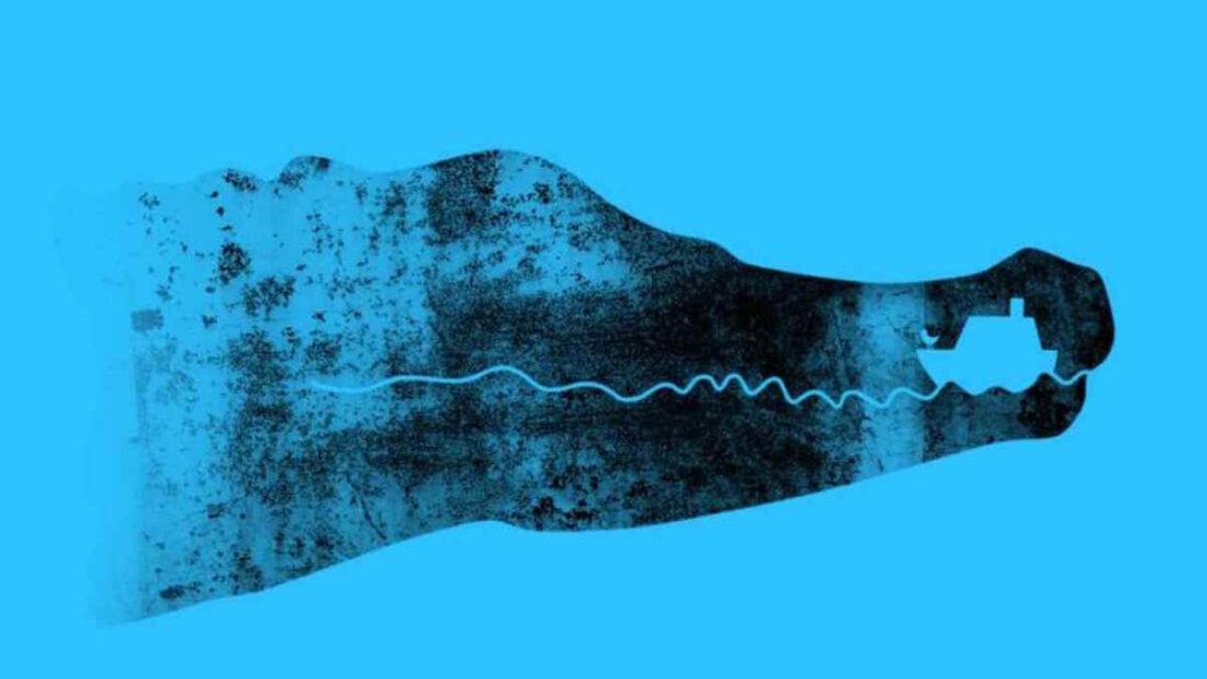 illusione ottica coccodrillo barca