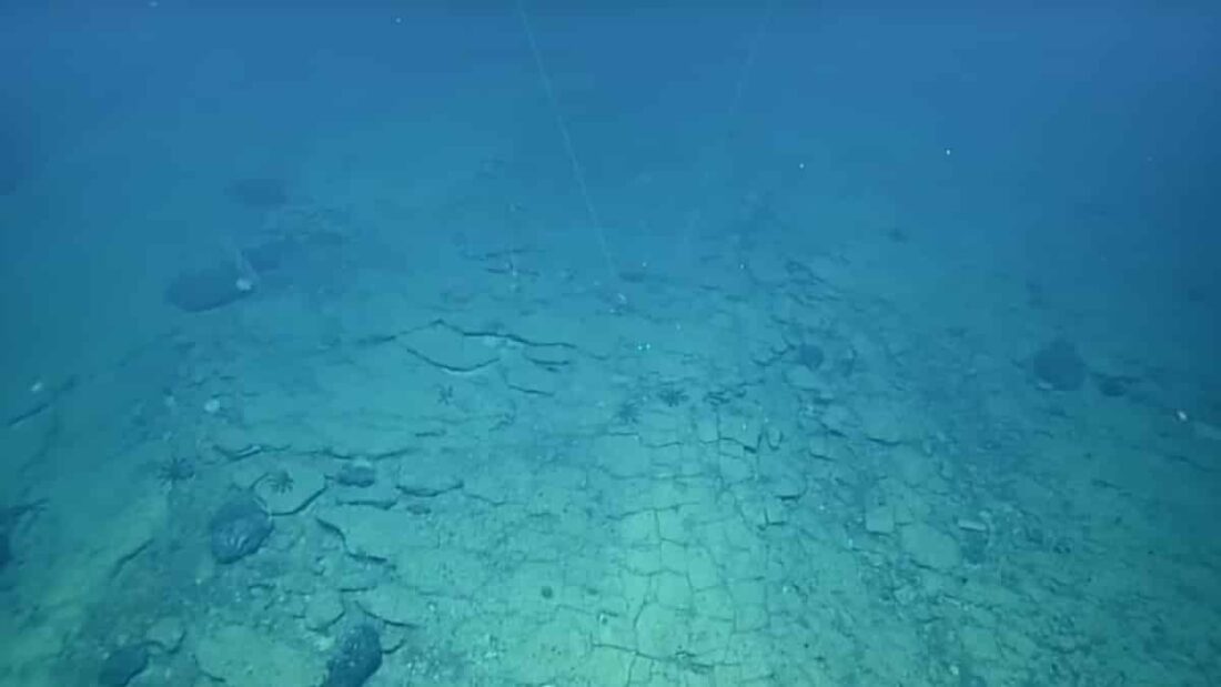 strada Oceano Pacifico