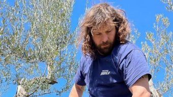 Martin Castrogiovanni