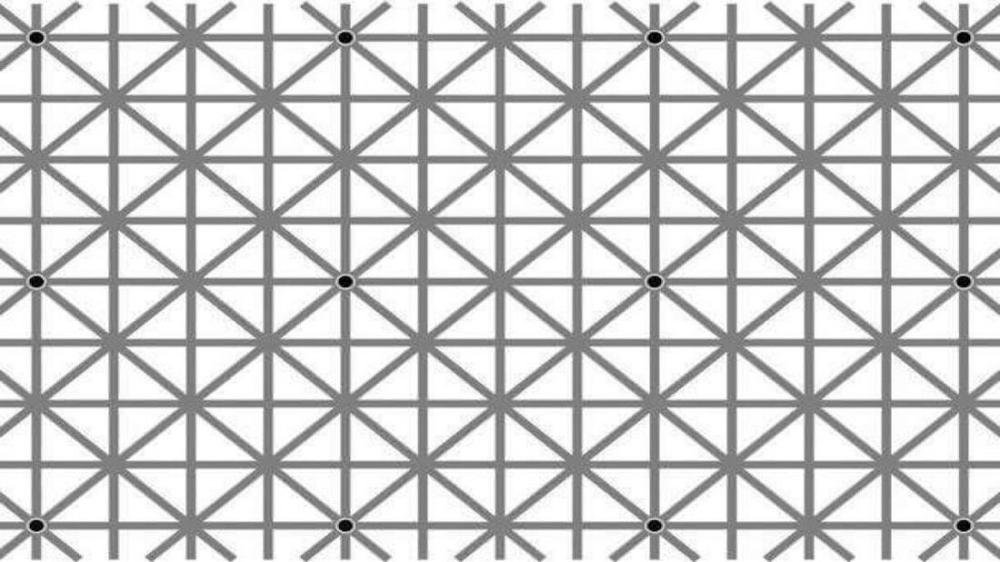 illusione ottica punti neri