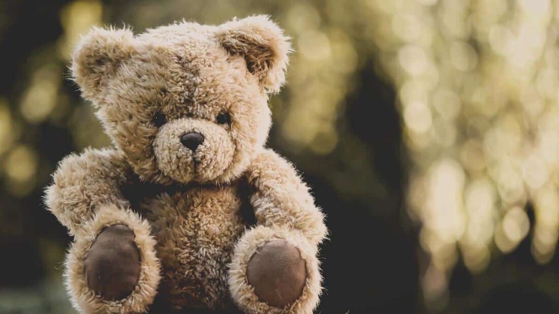 Un morbido orsacchiotto