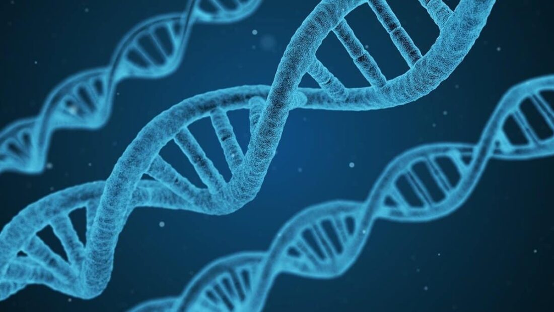 DNA e genetica