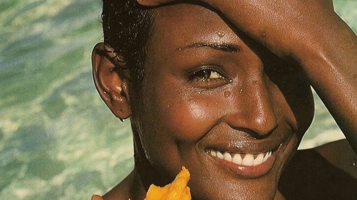 Waris Dirie, attivista e modella