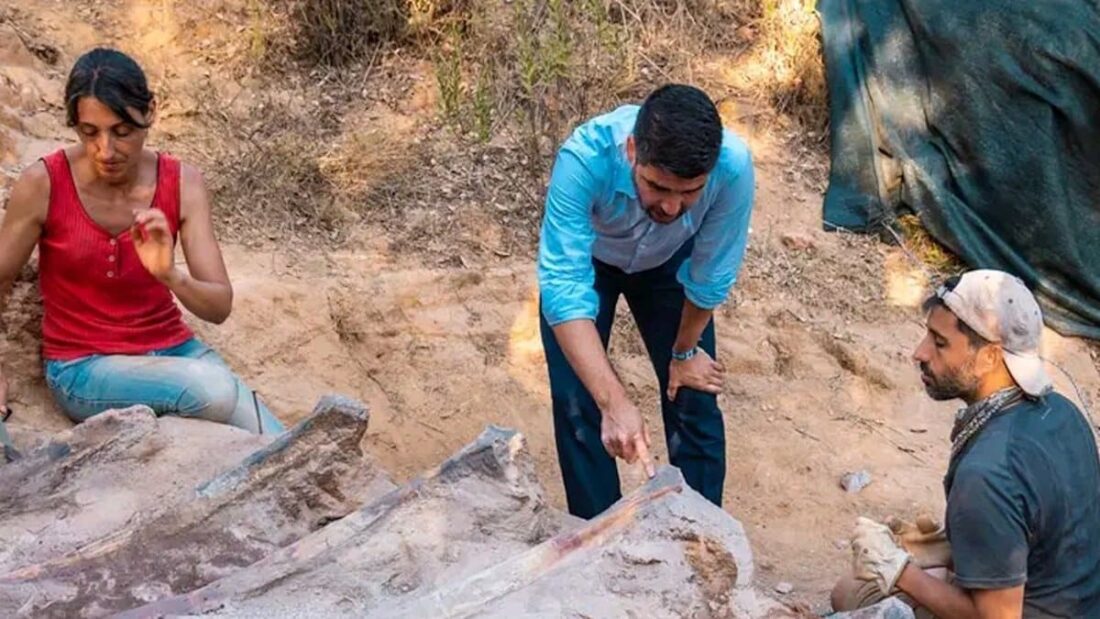 Fossili di dinosauro scoperti in Portogallo