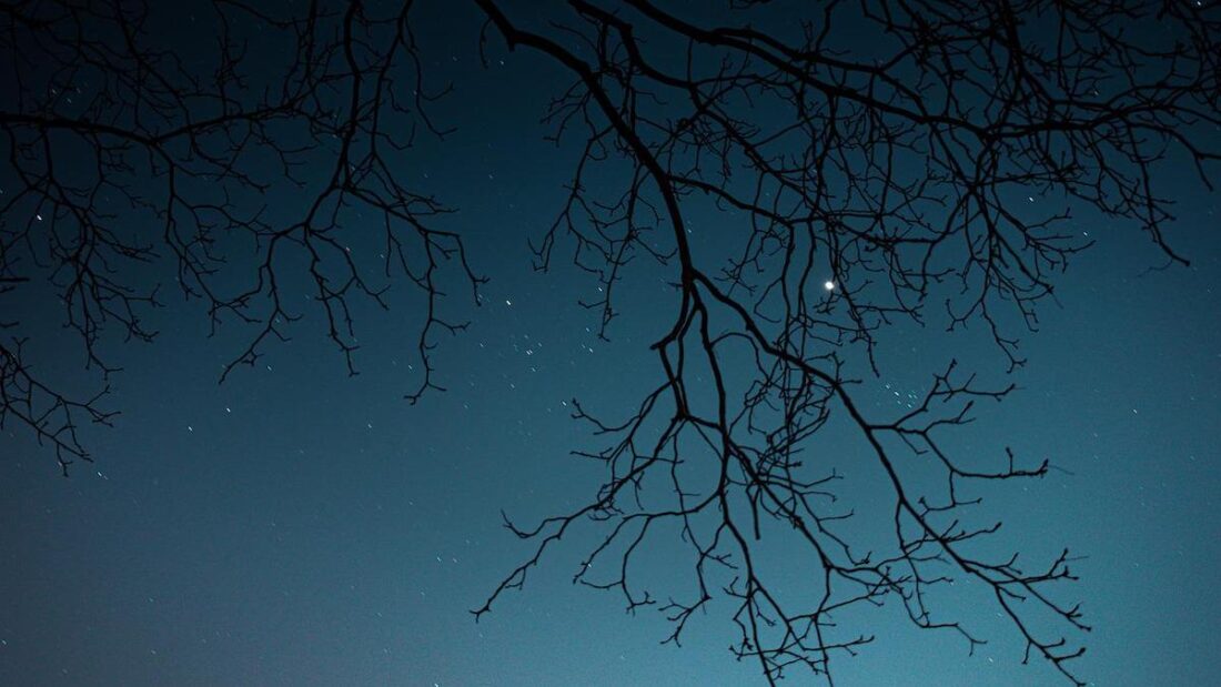 Stelle nel cielo notturno