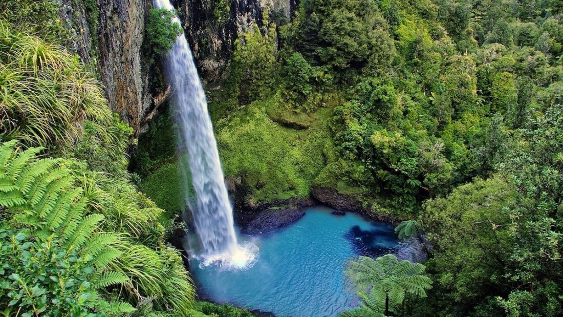 Area naturale in Nuova Zelanda