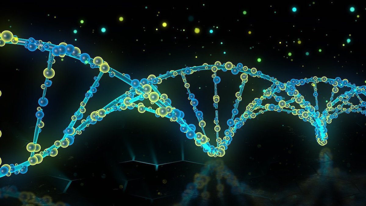 Nuove tecniche di analisi del DNA