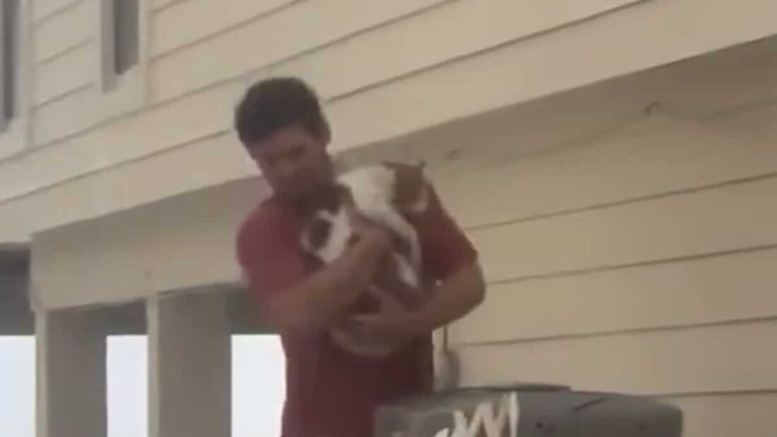 L'uomo che ha salvato un gatto sfidando l'uragano