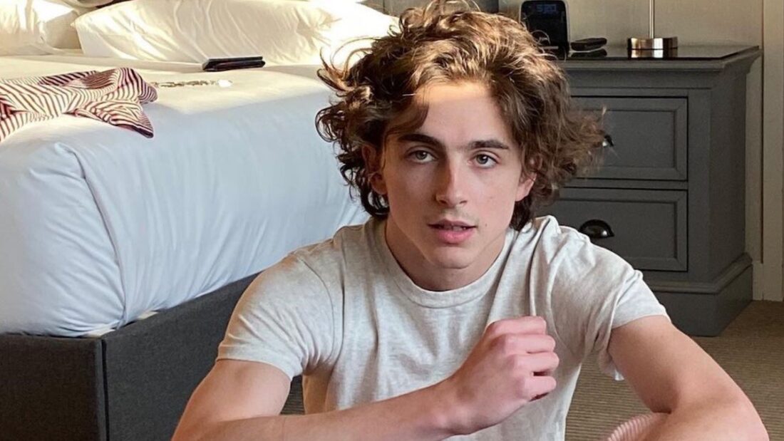 Timothée Chalamet, attore