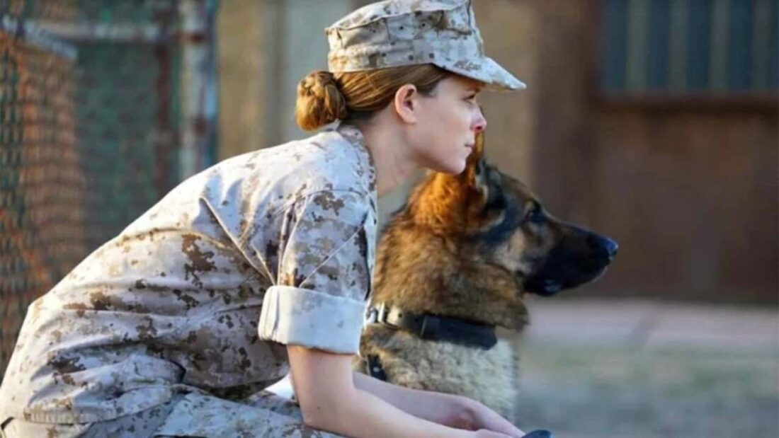 Sergente Rex e Megan Leavey