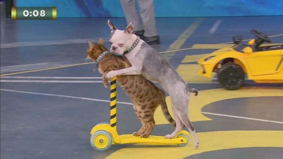 Lollipop e Sashimi Lo Show dei Record