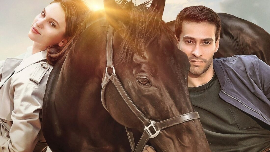 Bold Pilot città e location