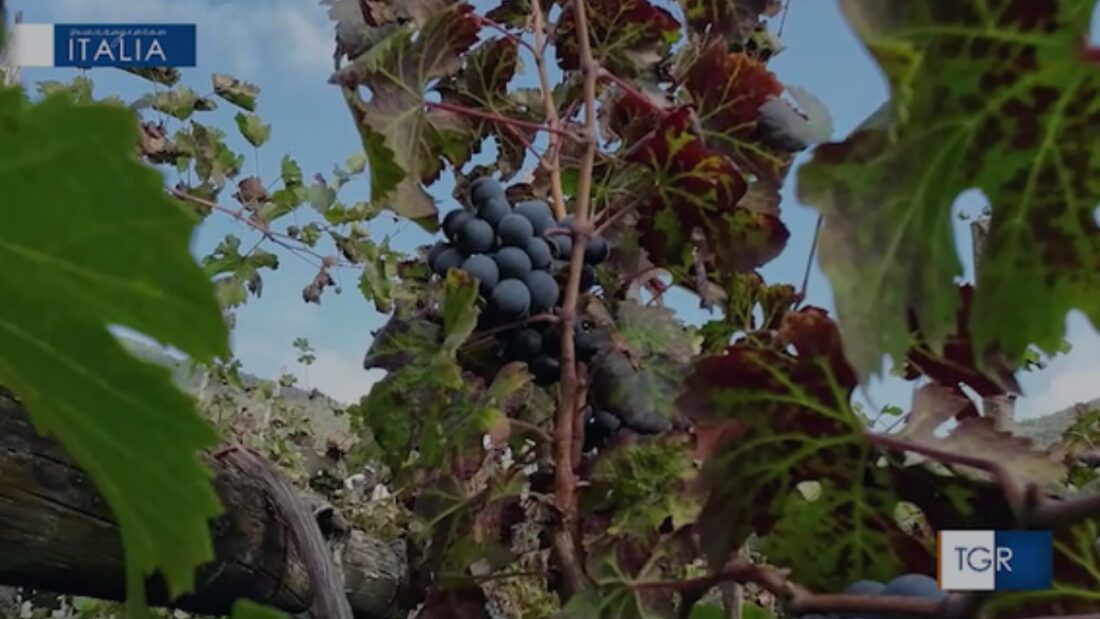 Tramonti Mezzogiorno Italia