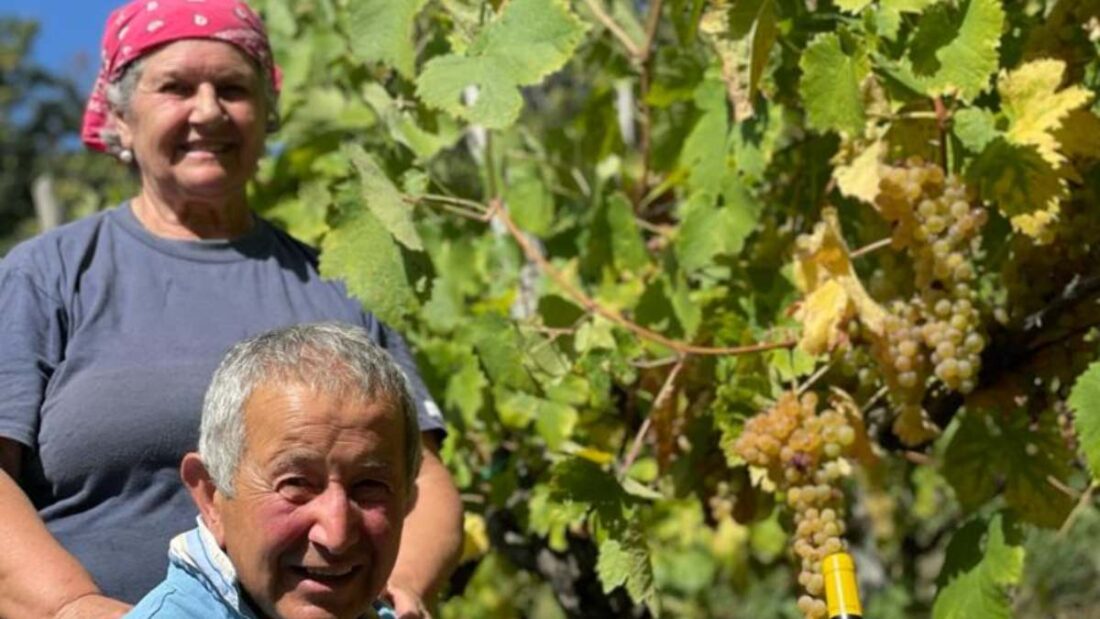 Cantine Apicella Tramonti