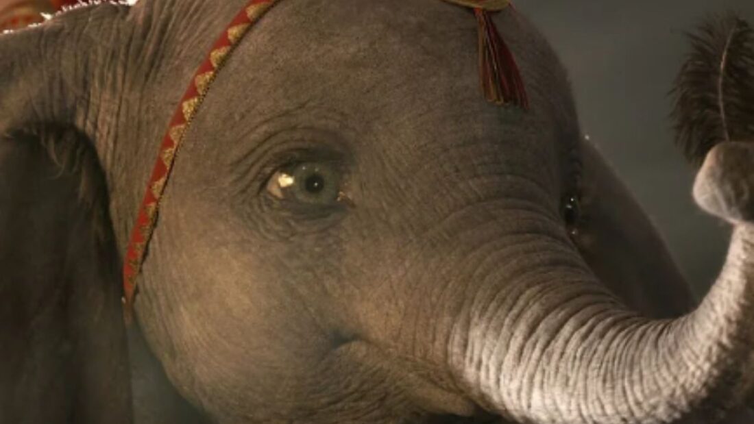 la vera storia di dumbo