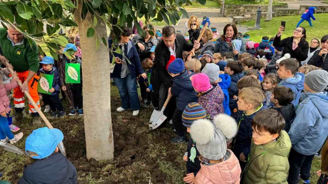 Sorrento Festa Alberi