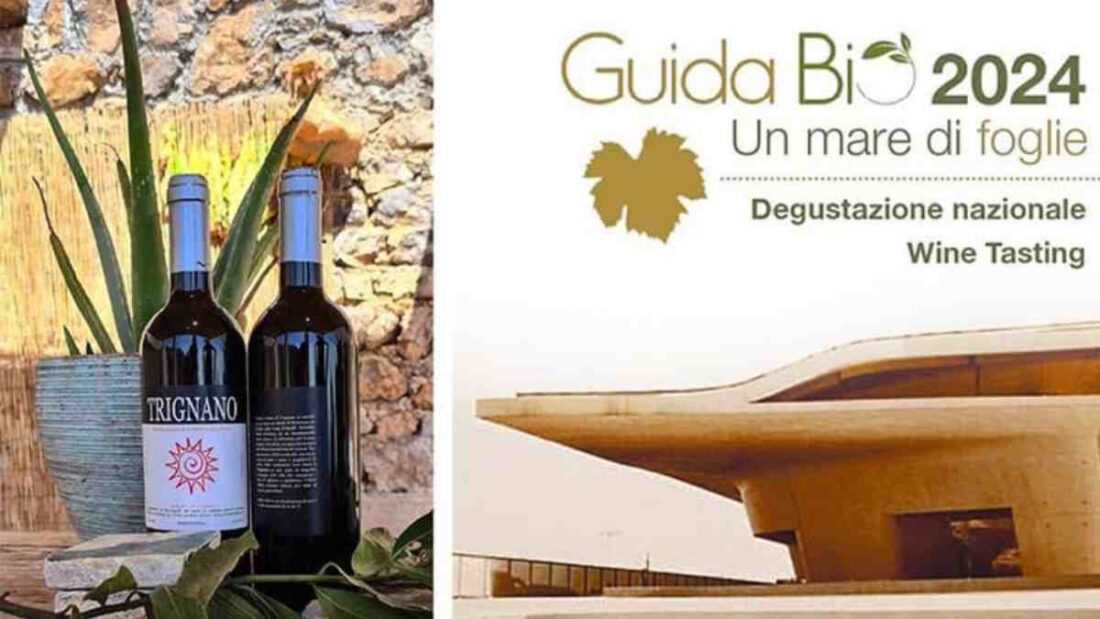 Trignano Guida Bio Vini