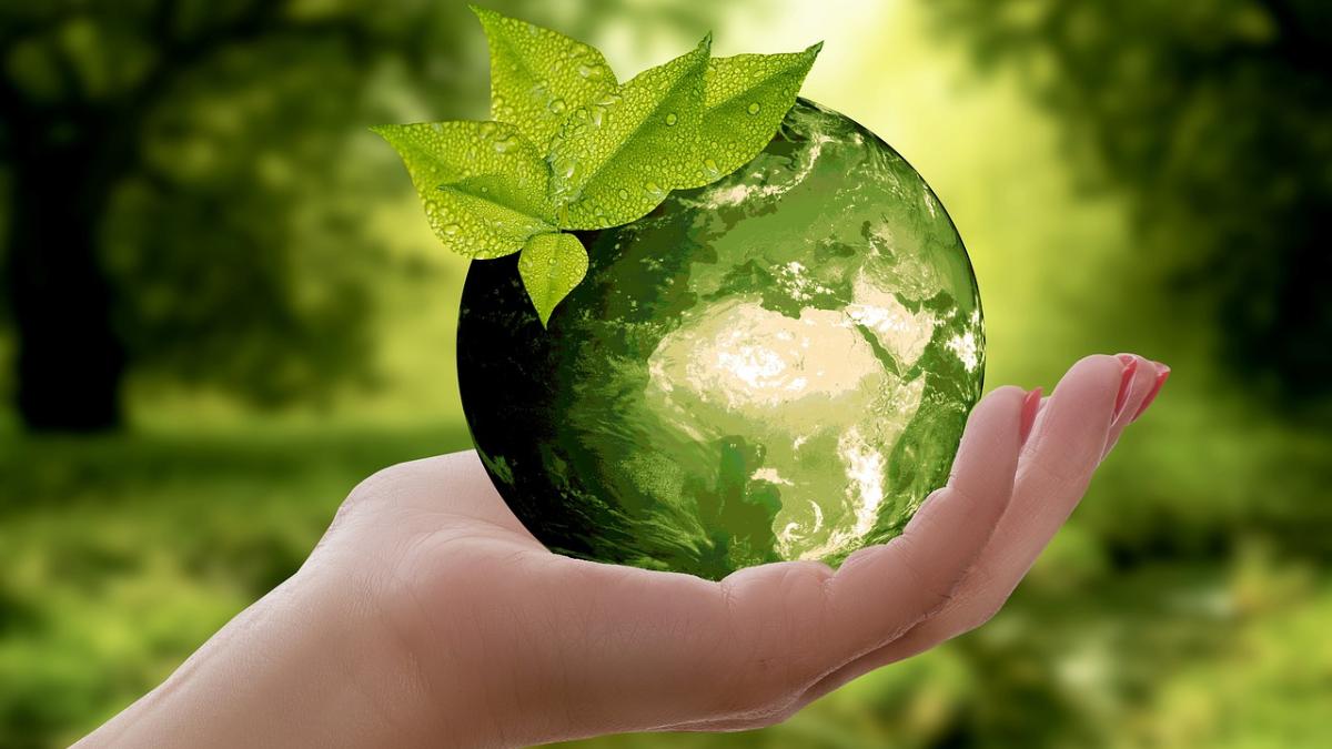 Sostenibilità green