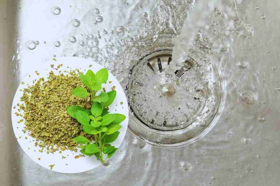 a cosa serve l'origano nello scarico?